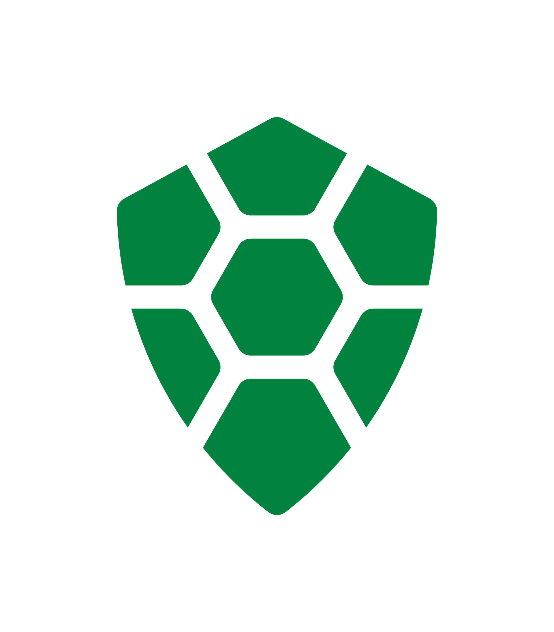 TurtleCoin